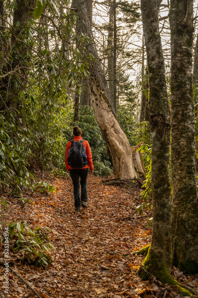 Woman In Bright Orange Coat Hikes In Thick Forest Woman In Bright Orange Coat Hikes In Thick Forest