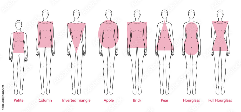 Set of Women body shape types: apple, pear, column, brick, hourglass ...