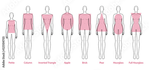 Set of Women body shape types: apple, pear, column, brick, hourglass, inverted triangle, petite. Female Vector illustration silhouette 9 head size lady figure front view. Vector outline sketch girl