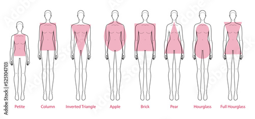 Set of Women body shape types  apple  pear  column  brick  hourglass  inverted triangle  petite. Female Vector illustration silhouette 9 head size lady figure front view. Vector outline sketch girl