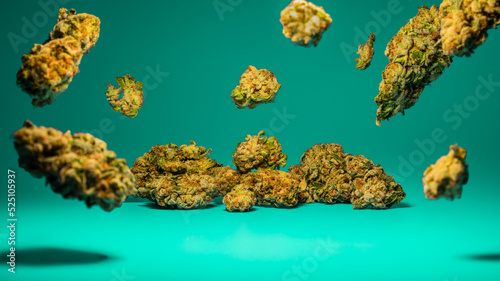 Fotografi Marijuana flower buds on green background.