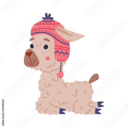 Cute baby llama wearing knitted hat. Alpaca character domesticated animal. Childish print for sticker, card, textile, nursery decor vector illustration