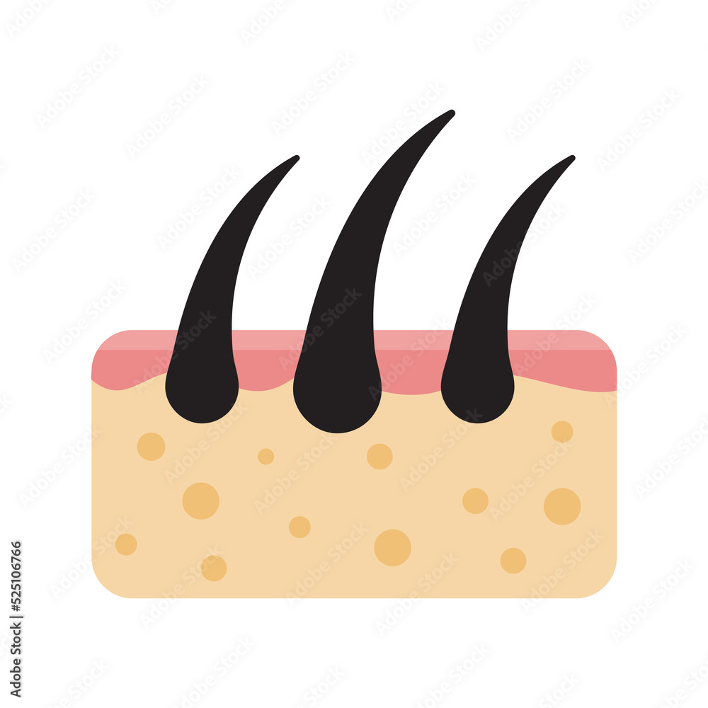 Hair icon. Hair on human skin Hair care concept Solve the problem of hair loss. Hair icon. Hair on human skin Hair care concept Solve the problem of hair loss.