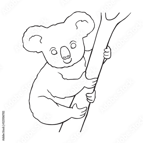 Coloring book page with cute cartoon koala on branch. Activity page and worksheet. Vector illustration funny animals character isolated on white background. 