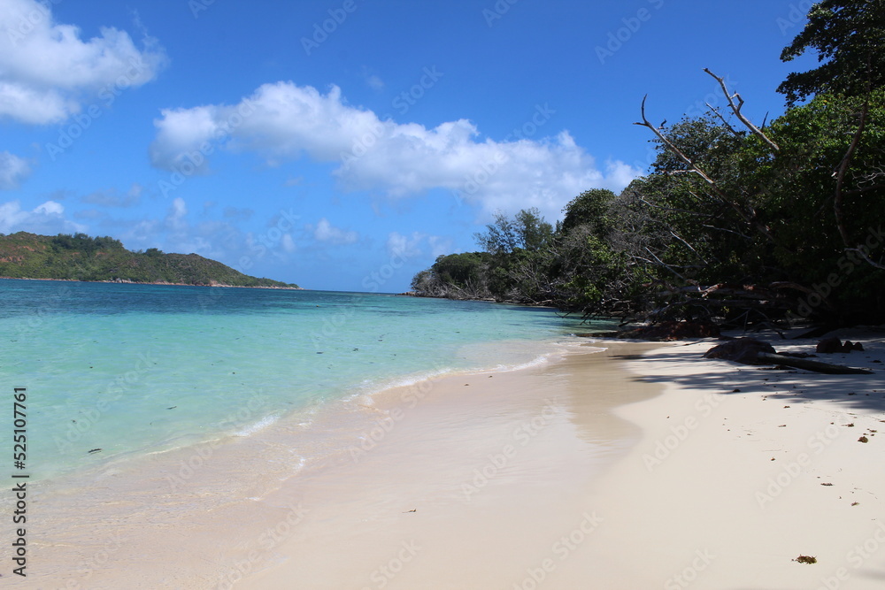 Obraz premium plage aux seychelles