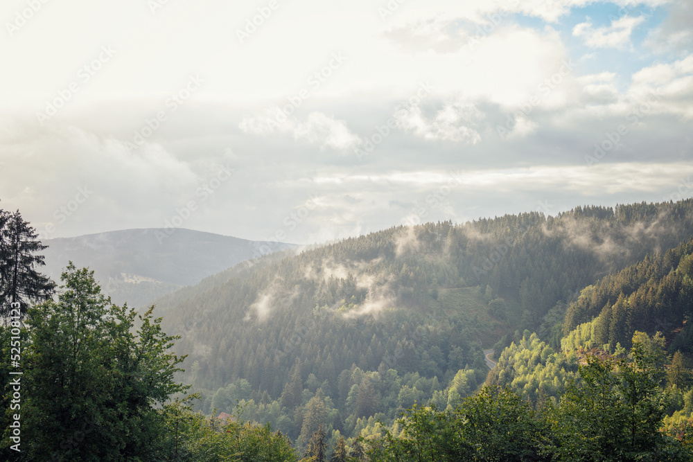 Blick über die Berge, Rund um Lautenthal, Goslar, Harz, Bergbau, Bergbauleerpfad, Wandern und Panorama