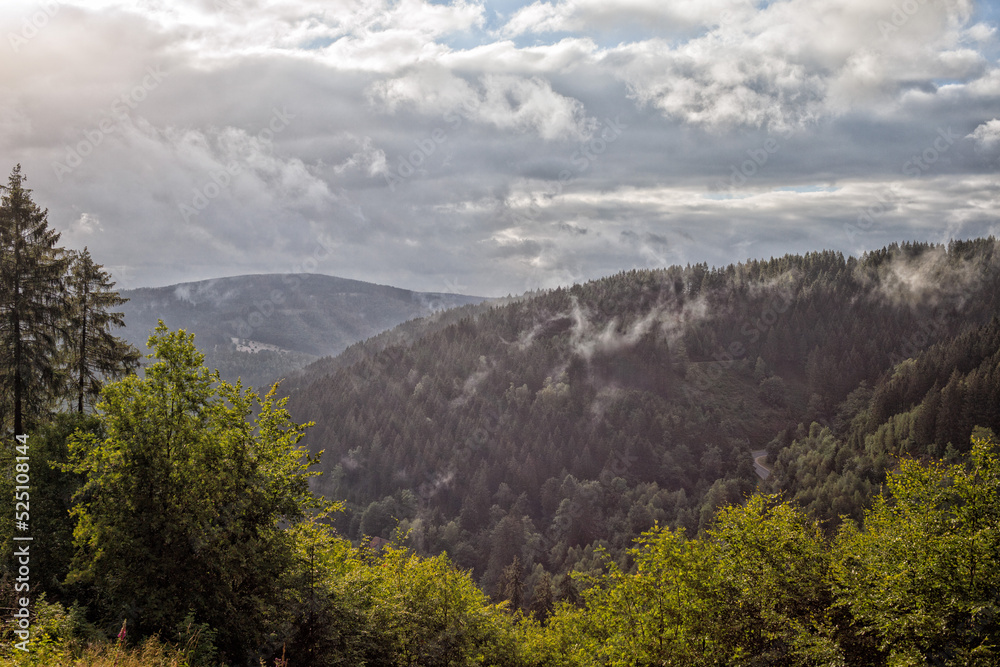 Fototapeta premium Rund um Lautenthal, Goslar, Harz, Bergbau, Bergbauleerpfad, Wandern und Panorama