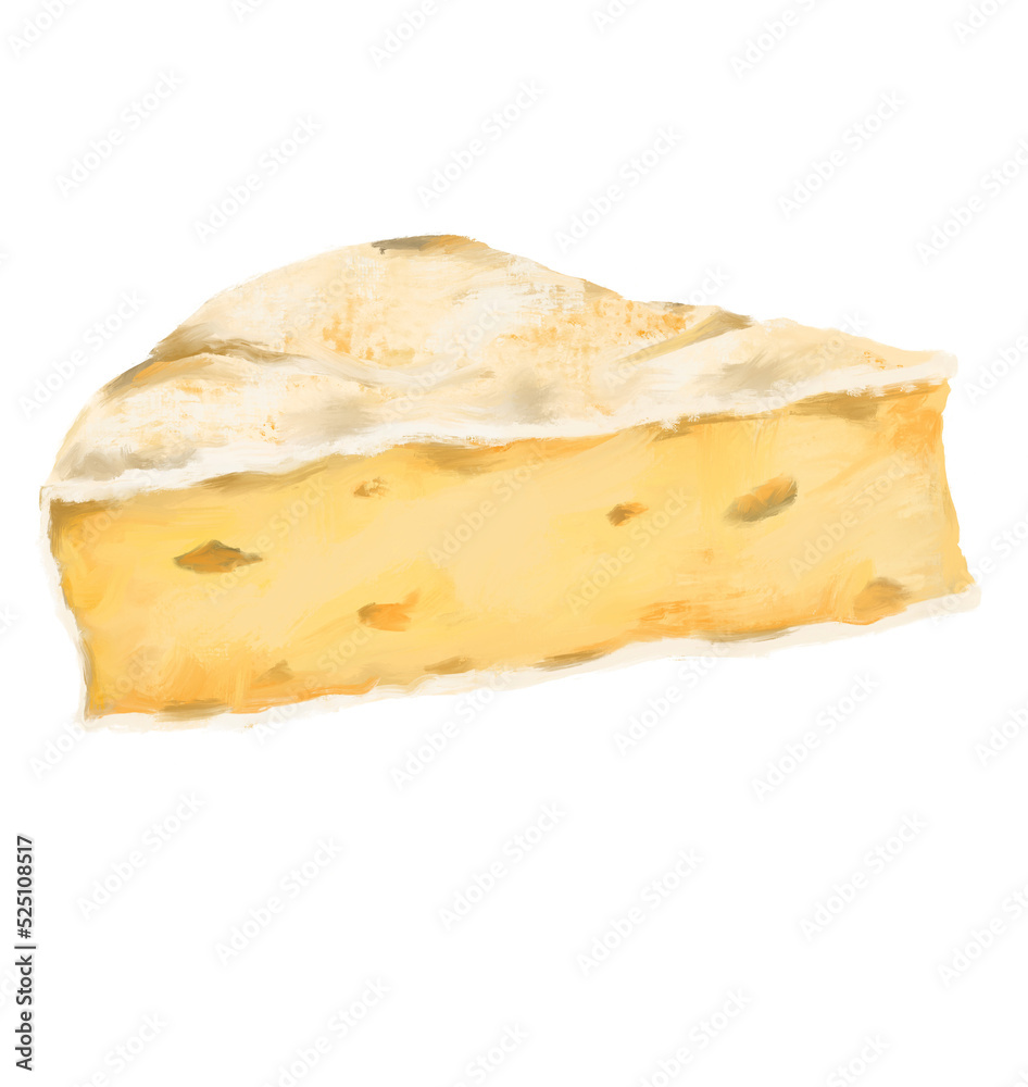Brie Cheese wheel white mold creamy milky taste digital oil painting illustration Brie Cheese wheel white mold creamy milky taste digital oil painting illustration