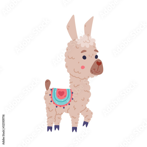Cute fluffy baby llama. Alpaca domesticated animal. Childish print for sticker, card, textile, nursery decor vector illustration