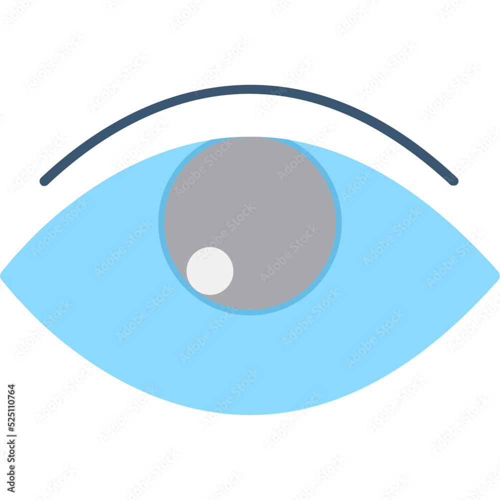 Eye Icon Eye Icon
