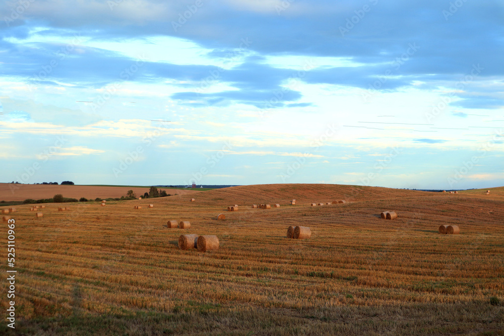 Autumn harvest: autumn field with bales of straw against the blue sky