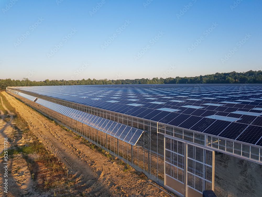 Photovoltaic plant, solar and agricultural greenhouse