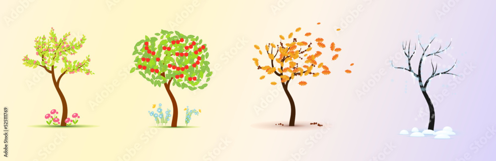 Seasons. Tree in four stages - spring, summer, autumn, winter. Vector