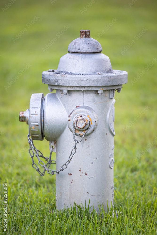 A single silver fire hydrant on a front lawn of grass