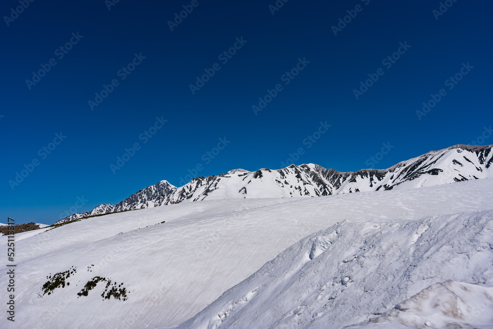 立山黒部　雪の大谷