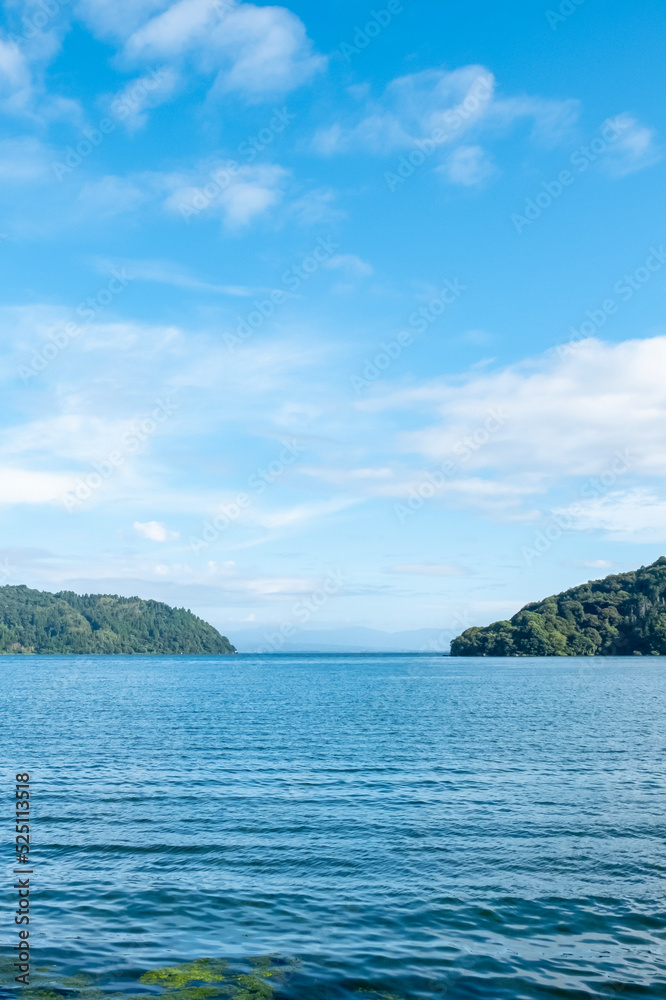 滋賀県近江八幡市　夏の晴れた早朝　琵琶湖の青々とした美しい風景に浸る　縦画像　爽やかな色合い　