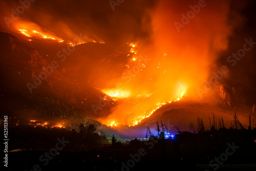 incendio forestal con bomberos