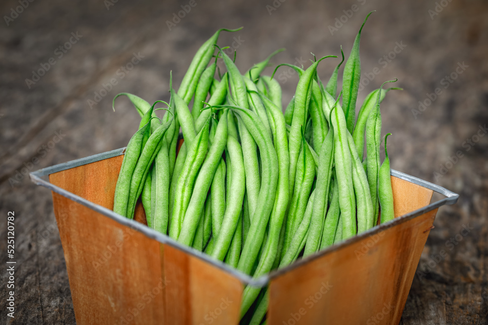 Organically homegrown French filet green beans, 'Maxibel' variety, in a quart container on a rustic vintage wooden background - obrazy, fototapety, plakaty 
