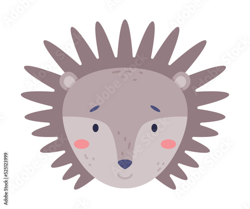 Head of baby hedgehog cute wild animal. Nursery decoration, card or invitation design cartoon vector illustration