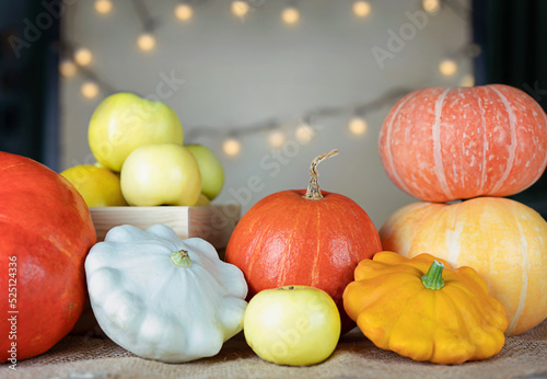 Mini Thanksgiving pumpkins, apples and squash on rustic table. Thanksgiving harvest concept 