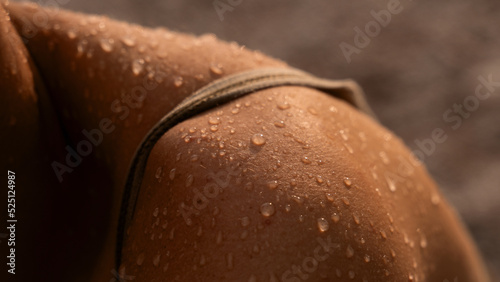 a close-up of the drops of water on the girl's skin after taking the shower flow down. Large drops of water on the body of a girl after the sea.