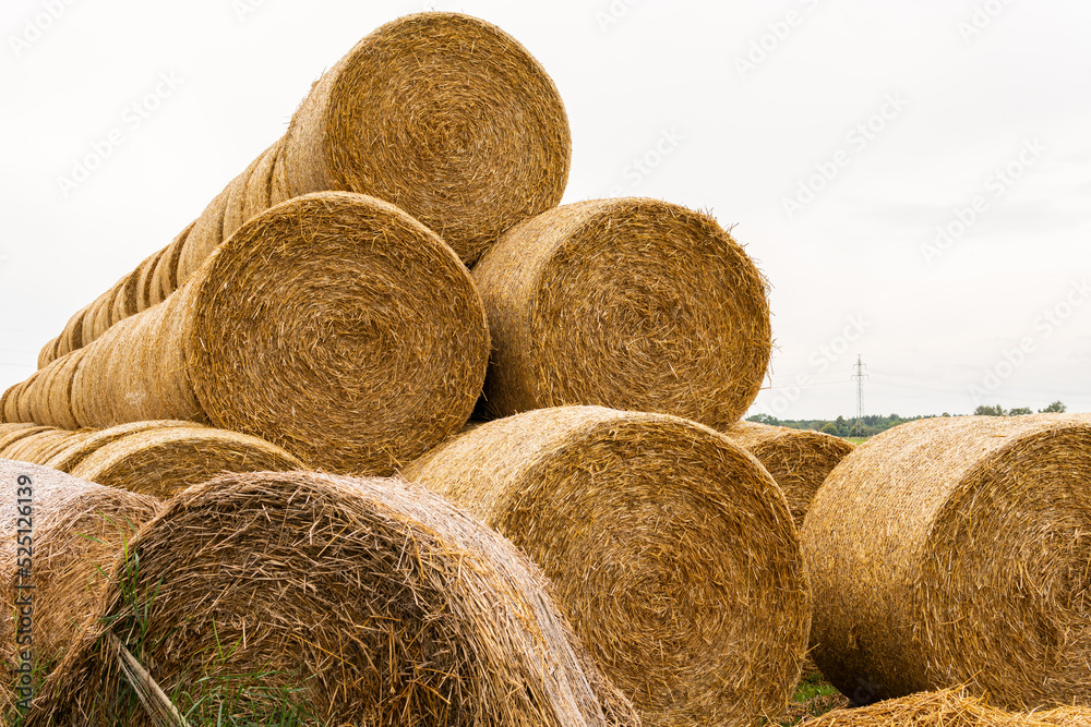 Many haystacks, blocks of hay, bales, stack of hay, rectangular bales on the field Many haystacks, blocks of hay, bales, stack of hay, rectangular bales on the field