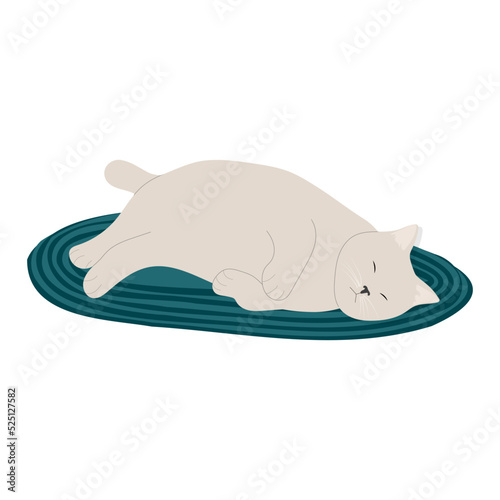 Cute hand drawn lazy cat sleep. Sleeping animal flat vector illustration