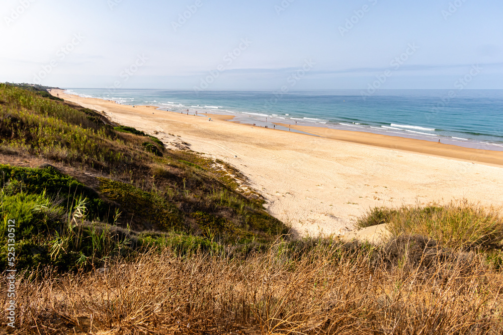 views of La Barrosa beach from the top of the viewpoint called Torre del Puerco in Cadiz, Spain