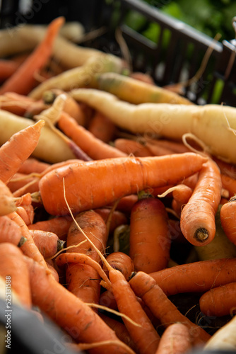 Farmers' Market Vegetable spread