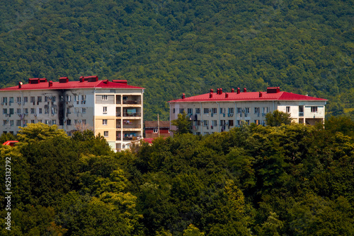 residential buildings in the forested mountains