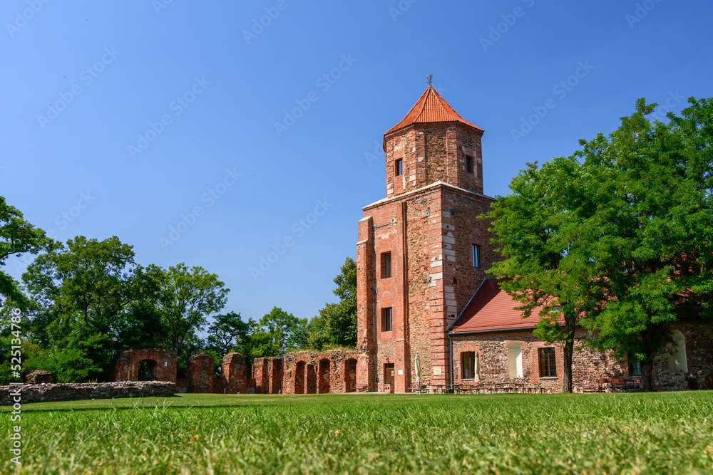 Fototapeta premium Castle in Toszek, a brick castle from the 15th century, partially reconstructed. View from the green courtyard to the building.