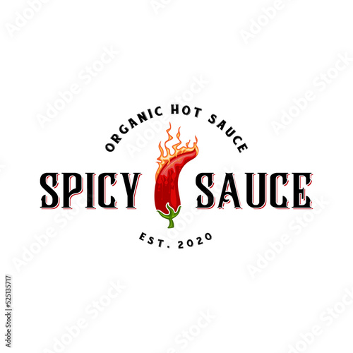 spicy chili sauce emblem logo design. the concept of chili and fire, for sauce products, spicy foods and others.
hot sauce logo design. chili and spices concept, for sauce label, spicy food.