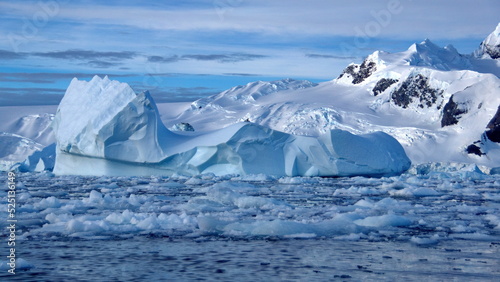 Icebergs floating in the bay, at the base of a snow covered mountain, at Cierva Cove, Antarctica © Angela