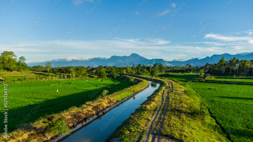 Aerial view of irrigation in a rice field, Aceh, Indonesia.