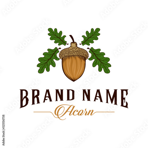 acorn vintage logo design. acorn concept in emblem form, for research laboratories focused on nutrition. Food product icon.