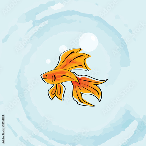 Beta Fish swimming in water with bubbles