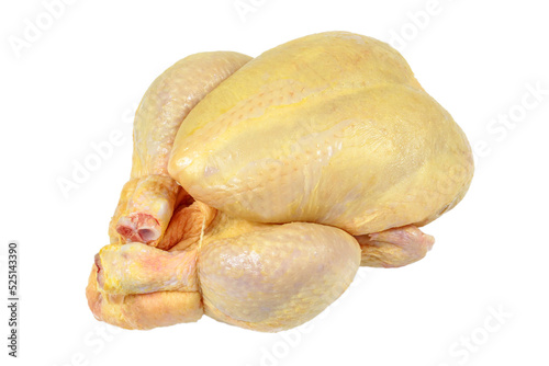 poulet cru isol   sur un fond blanc