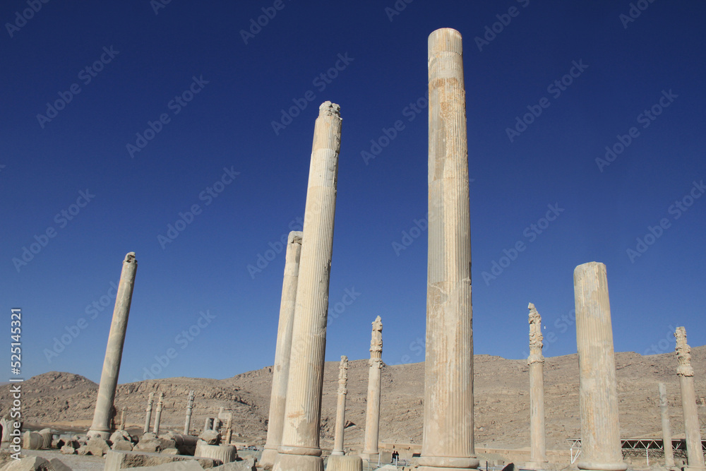 Remaining ancient columns at ruins of Persepolis in Iran. 