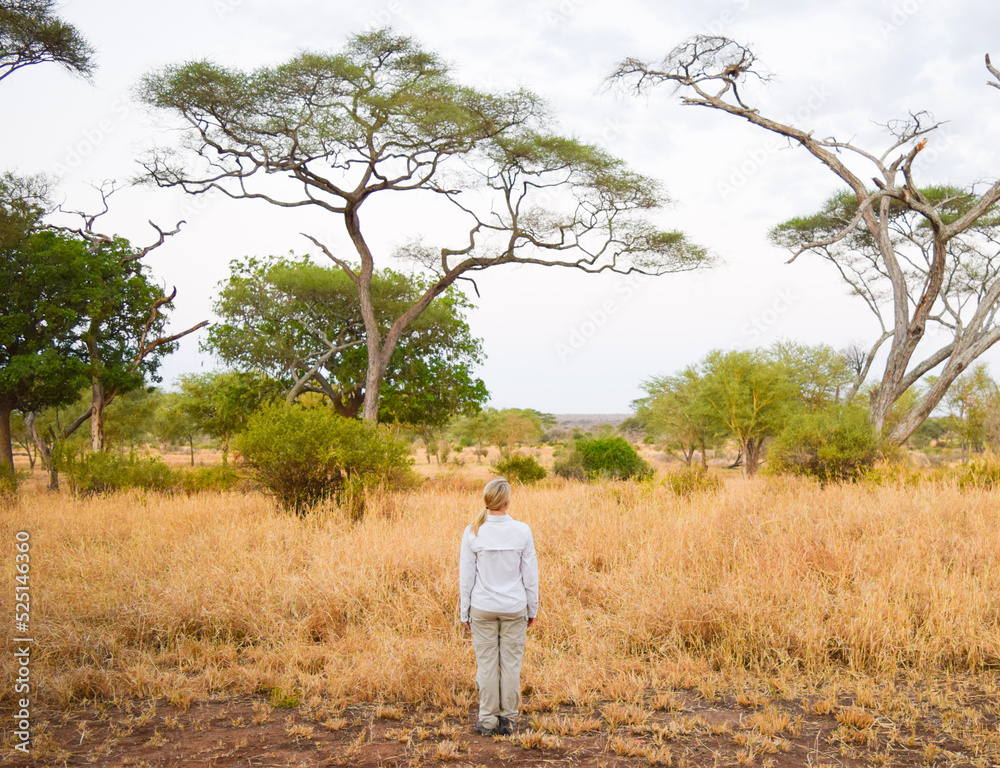 View of woman from behind standing in the African Bush while on Safari enjoying the natural scenery View of woman from behind standing in the African Bush while on Safari enjoying the natural scenery