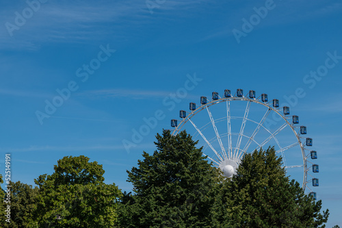 Ferris wheel from afar between trees in the park