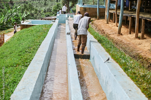 Back view of male employers working at coffee production at washing center in Africa