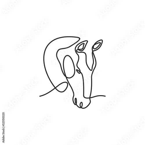Continuous Line Drawing Of Horse Head