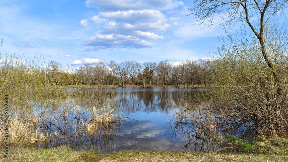 In spring, the river floods and the water floods the grassy banks with the bushes and trees growing on them. The trees and blue sky with clouds are reflected in the calm water of the river. Sunny
