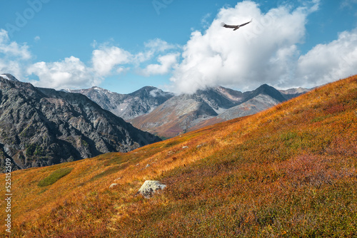 Mystical mountain valley. Autumn poster of Altai mountains. Sunny autumn scene of mountain valley. Landscape photography. Beautiful autumn scenery.