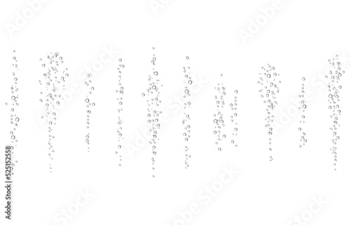 Oxygen air bubbles  flow  in water on white  background.