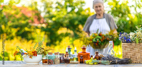 Fotografie Grandmother makes tinctures from medicinal herbs