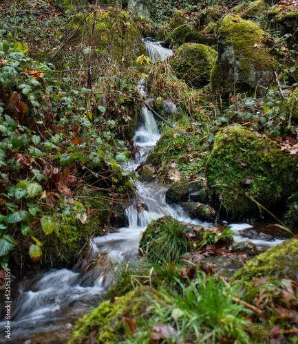 Small waterfall surrounded by green plants and rocks on a fall day in the Black Forest of Germany.