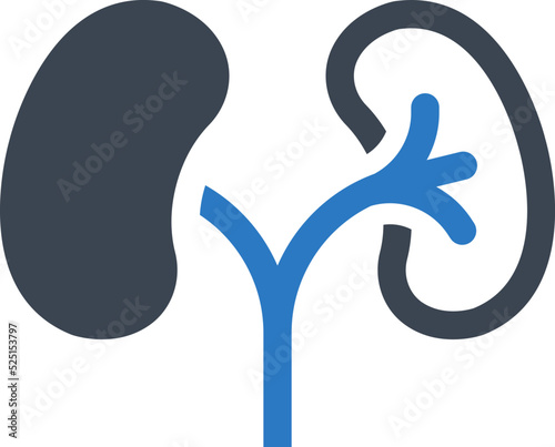 Kidneys organ icon