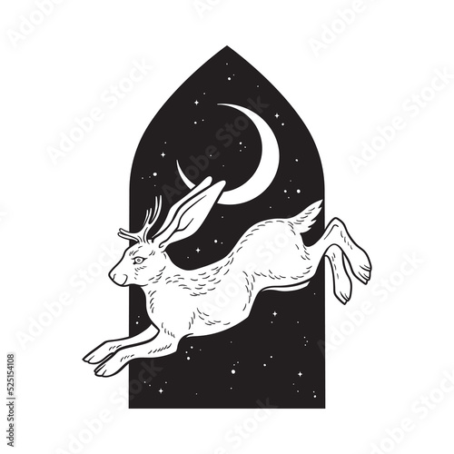 Jackalope hare with horns folklore magic animal over night sky with crescent moon hand drawn line art gothic tattoo design isolated vector illustration