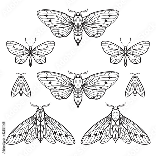 Moths and butterflies hand drawn line art gothic tattoo design set isolated vector illustration